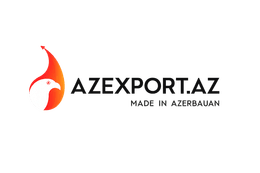 Partner 31